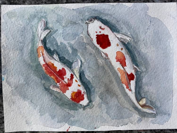 Китайские Рыбки, Рисунок
