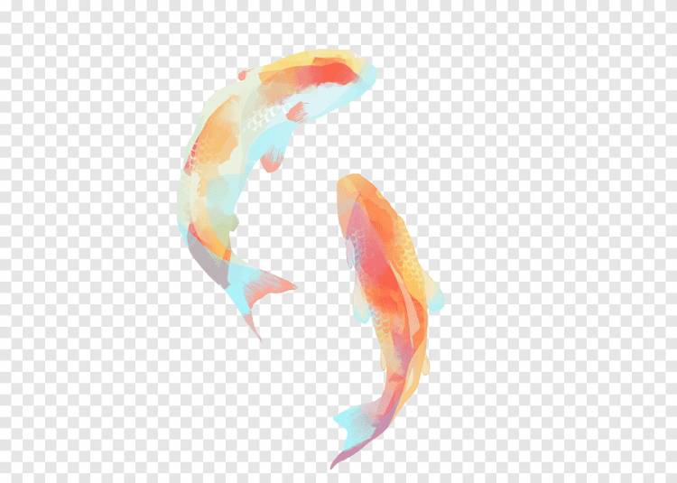 две оранжевые рыбы иллюстрация, Koi Carassius auratus Акварельная живопись Рисунок рыбы, Рисунок рыбы, животные, оранжевый png