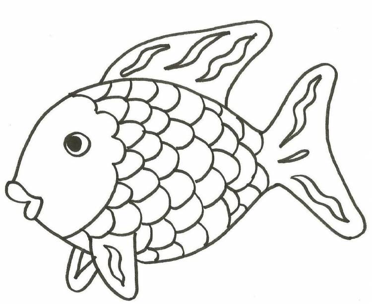 Рисунки рыб шаблоны