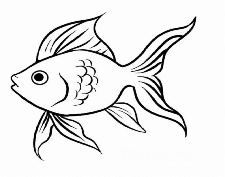 Золотая рыбка рисунок трафарет 