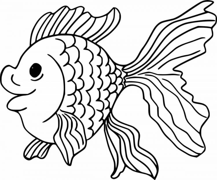 Раскраски Золотая рыбка шаблон 