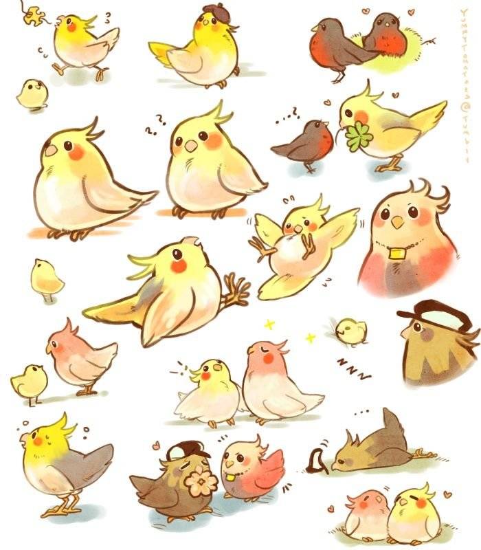Милые птички рисунки 