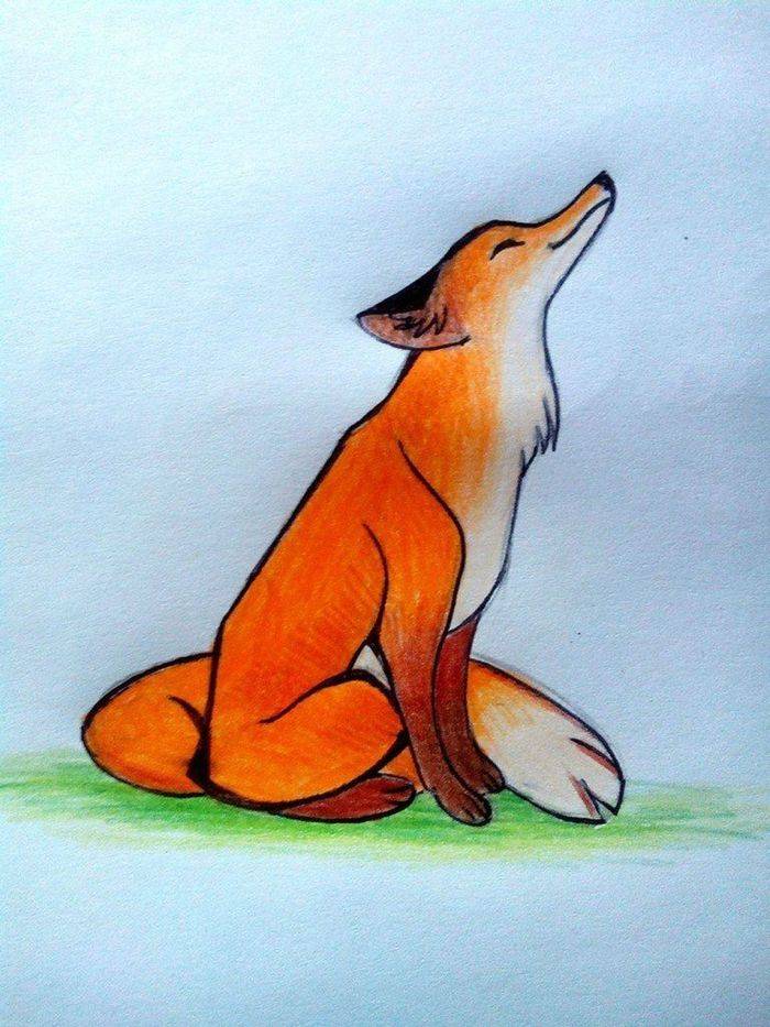 Рисунки лисы для срисовки карандашом