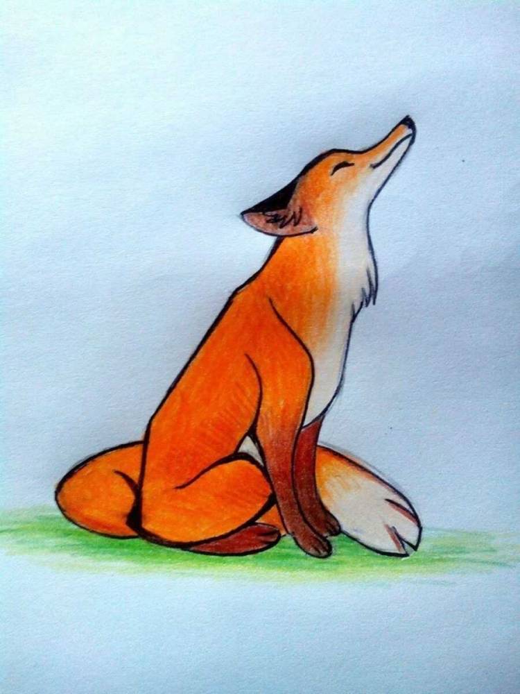Детский рисунок лисы для срисовки