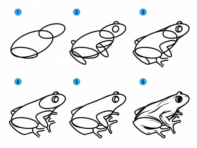 Как нарисовать лягушку и лягушонка поэтапно видео уроки рисования для детей и начинающих » Рисуем лягушек и лягушат легко карандашом, акварелью и гуашью