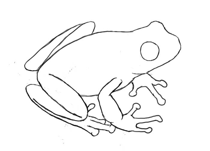 Рисунок лягушки шаг за шагом » Жаба Кваба