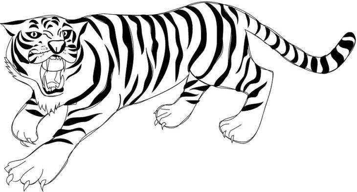 Красивые рисунки тигра для срисовки 