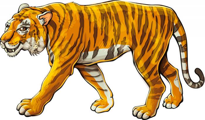 Рисунки тигров для срисовки 