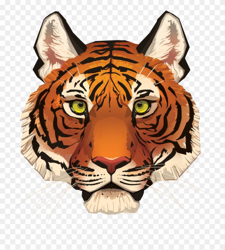 Мордочка тигра рисунок