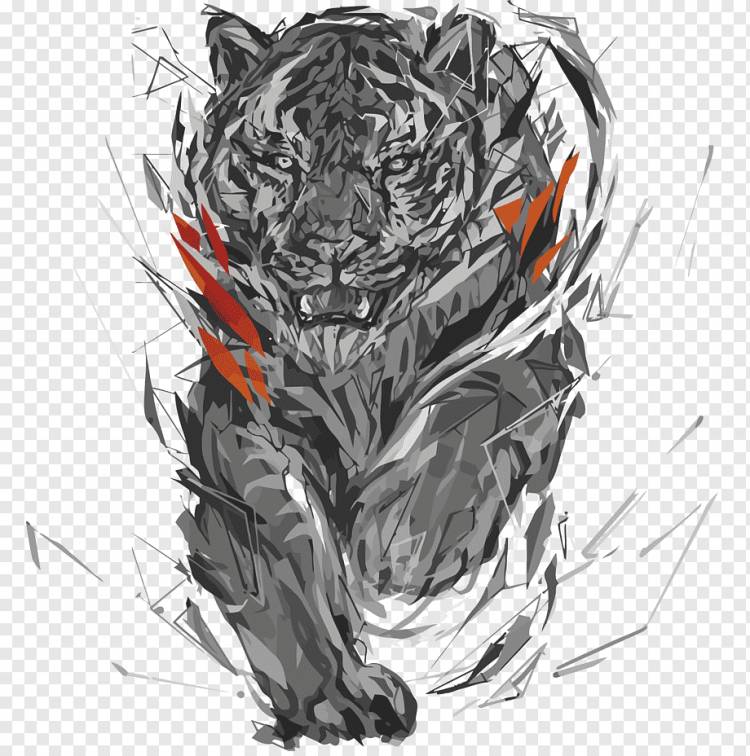 Иллюстрация тигра, Полигон Цифровое искусство Эскиз, тигр, млекопитающее, кошка, как млекопитающее png