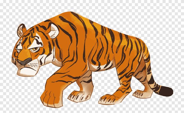 Тигр, мультфильм рисунок, тигр, Материал PNG, млекопитающее png