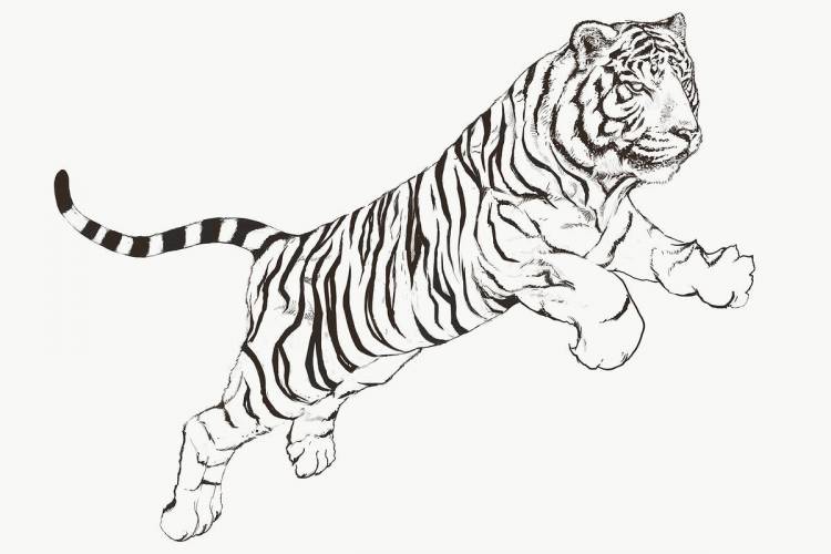Рисунок в виде тигра
