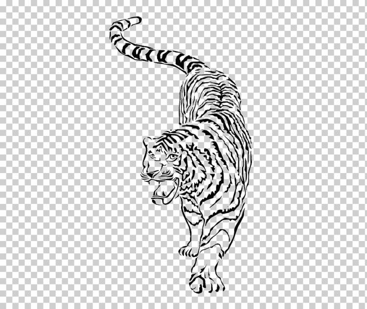 Усы Южно-Китайского тигра Рисунок, тигр, акварель, белый, млекопитающее png