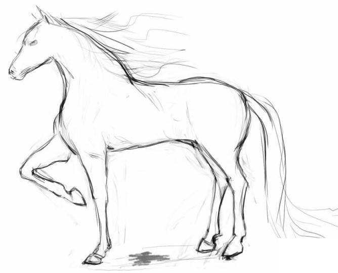 Рисунки лошадей для срисовки 
