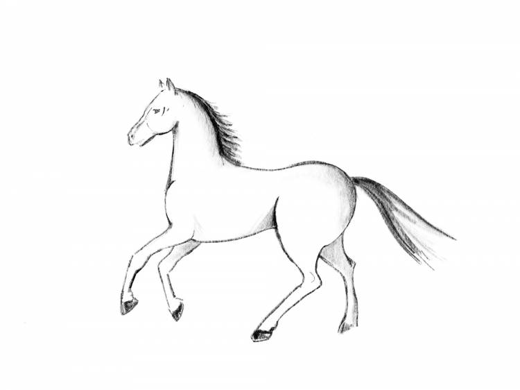рисунков лошадей карандашом и не только