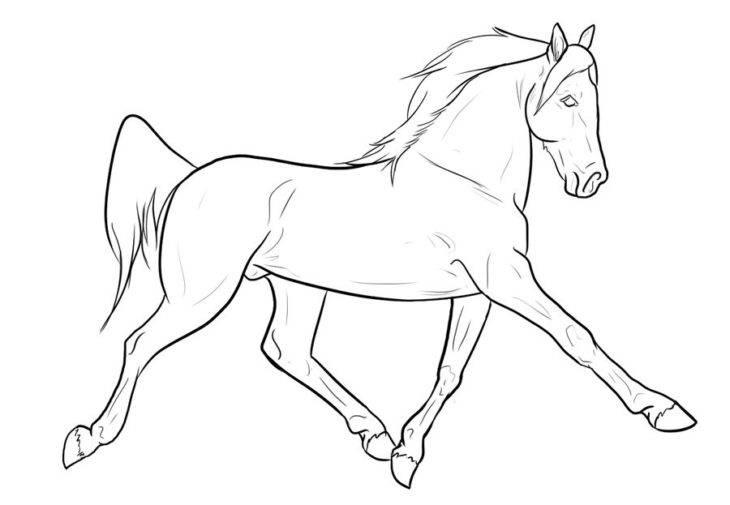 Красивые рисунки лошадей для срисовки 
