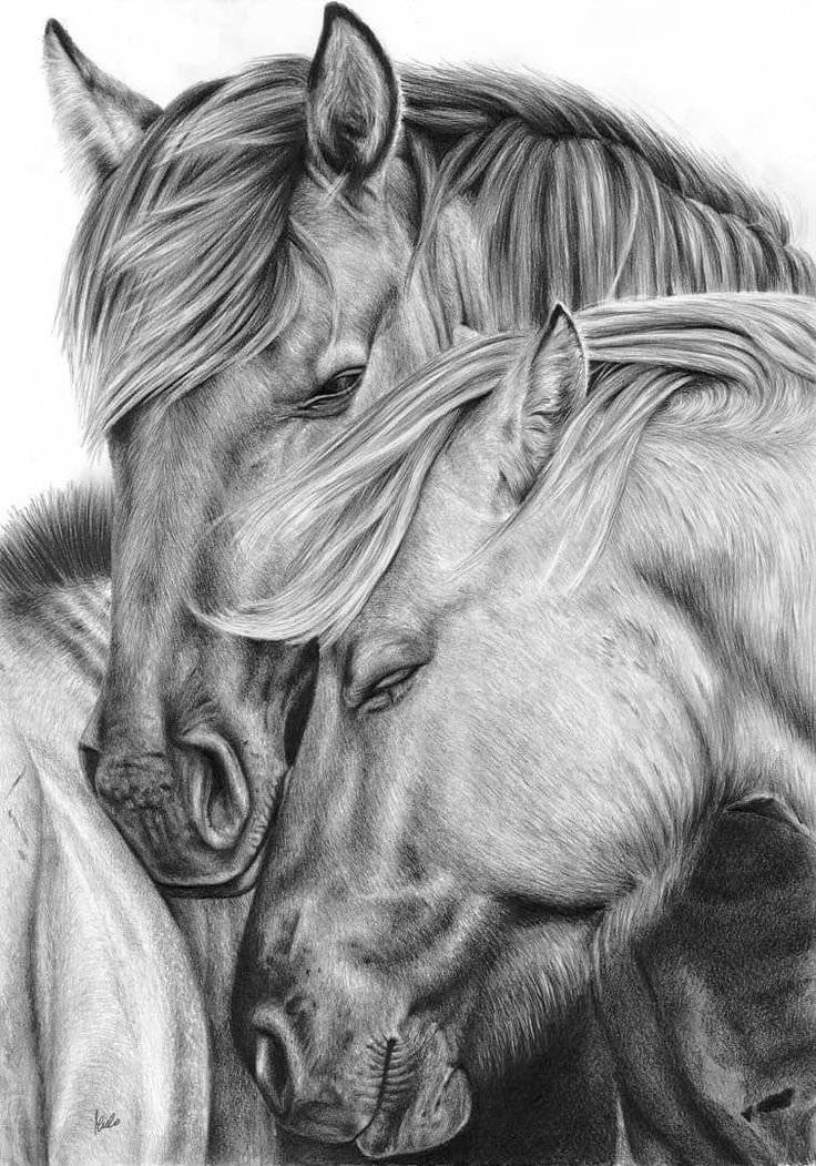 Лошадь рисунок карандашом сложные 