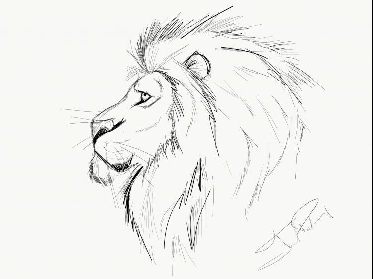 Нарисованный лев легко