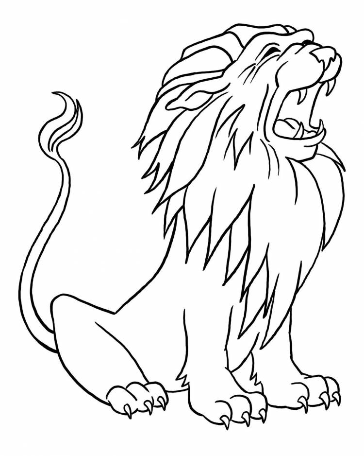Картинки льва для срисовки