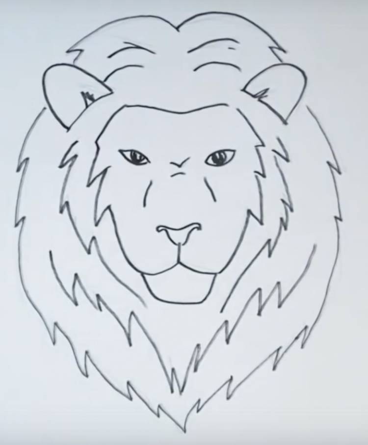 Как нарисовать льва поэтапно карандашом 