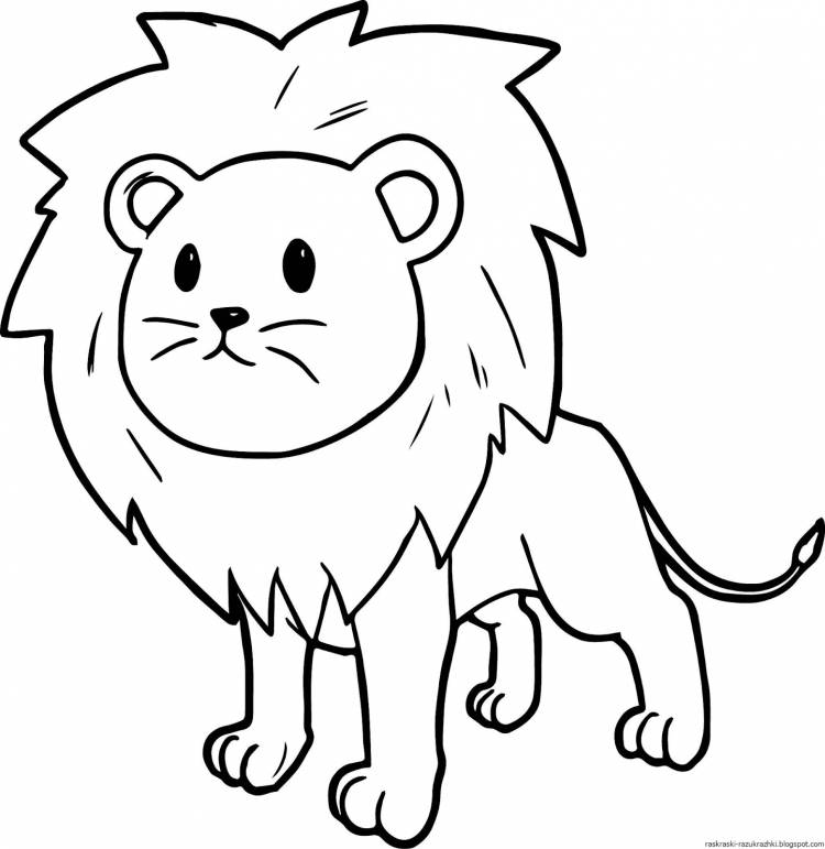 Рисунки для срисовки лёгкие Лев