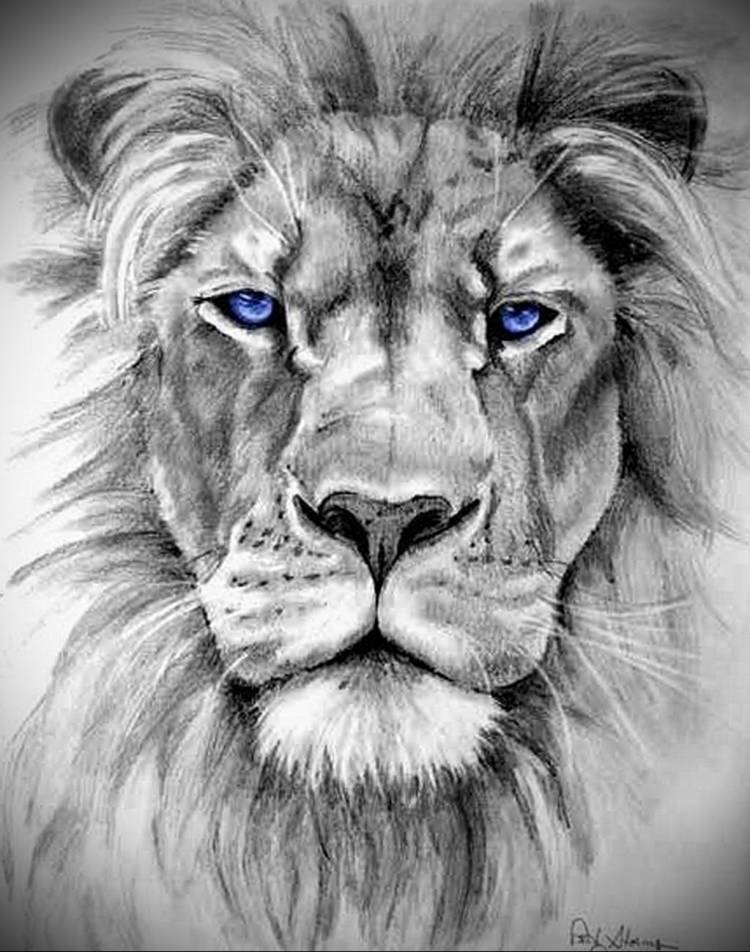 Рисунки львов