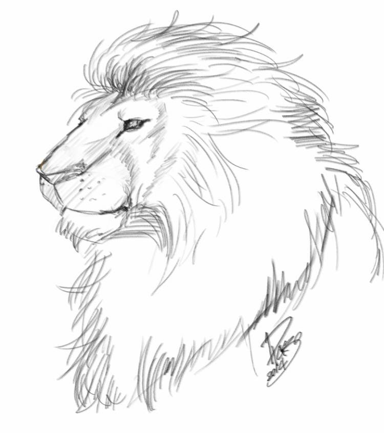 Как нарисовать льва карандашом