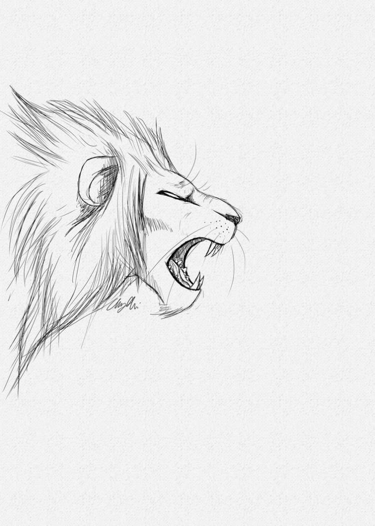 Как нарисовать льва поэтапно карандашом 