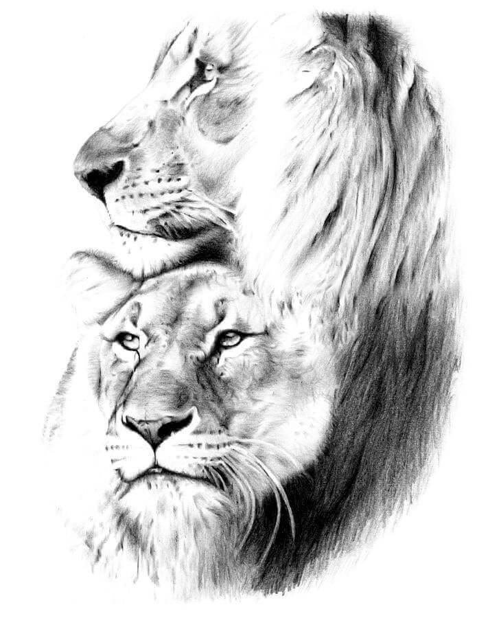 Лев и львица рисунки тату 