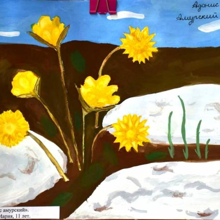 Подведены итоги конкурса детских рисунков «Первоцветы Амурской области»