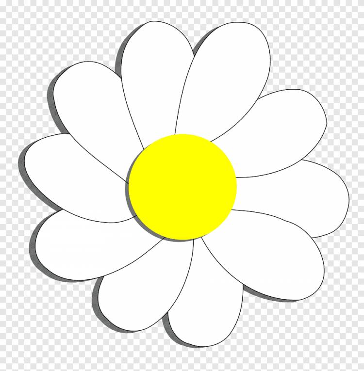 Лепесток, мультфильм цветы, белый, симметрия png