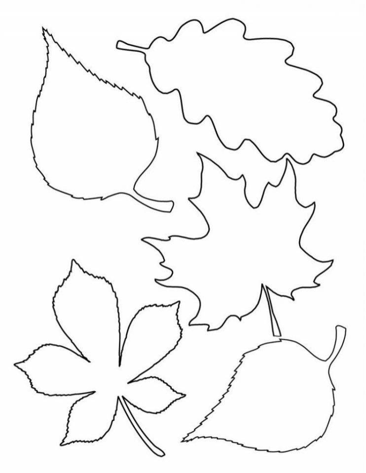 шаблоны листьев деревьев для вырезания из бумаги распечатать