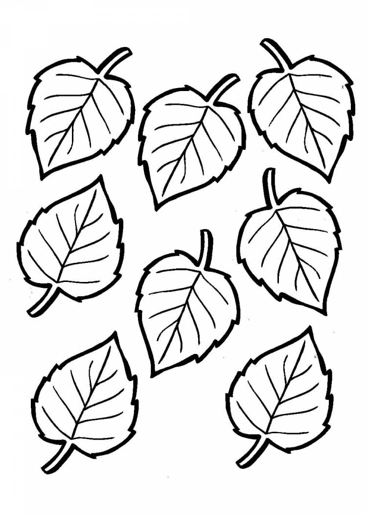 Трафареты и шаблоны листьев для вырезания из бумаги
