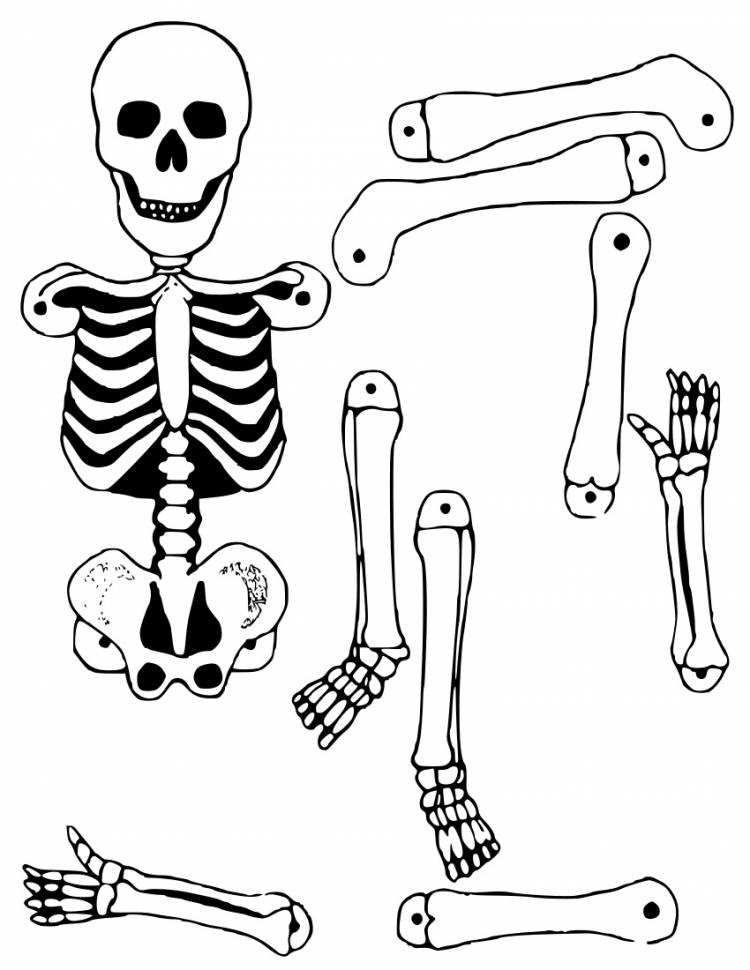 Трафарет скелета на хэллоуин