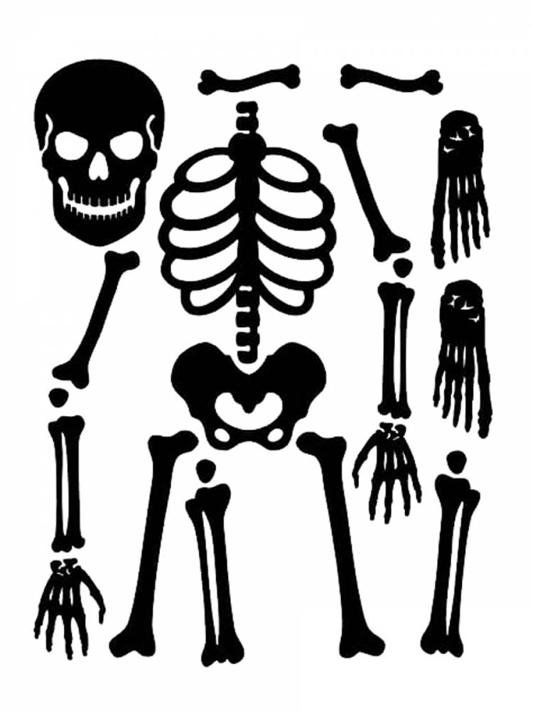 Трафареты Скелета для вырезания из бумаги