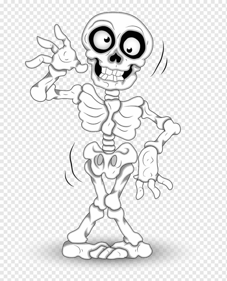 Человеческий скелет Хэллоуин, Fun Skeleton s, белый, рука, монохромный png