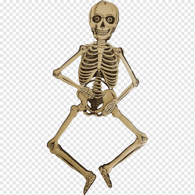 Скелет человека Bone Die Cut Сустав, Хэллоуин украшения, картон, человек, умри png