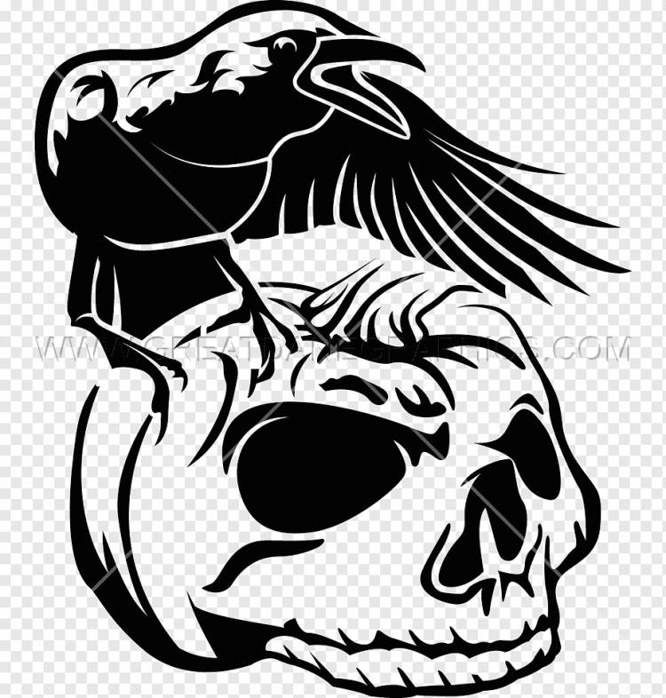 Череп Хэллоуин рисунок, печать футболки черепа, монохромный, голова, вымышленный персонаж png