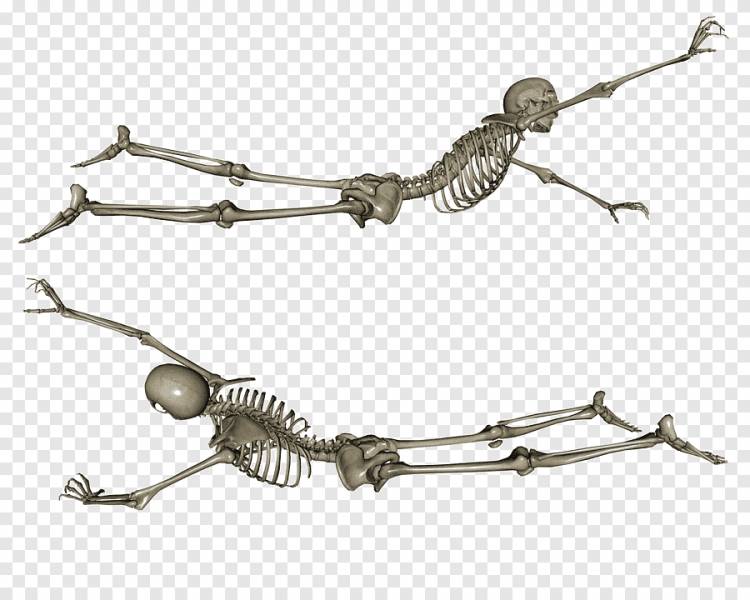 Скелет Ground Side, два скелета графический скриншот, png