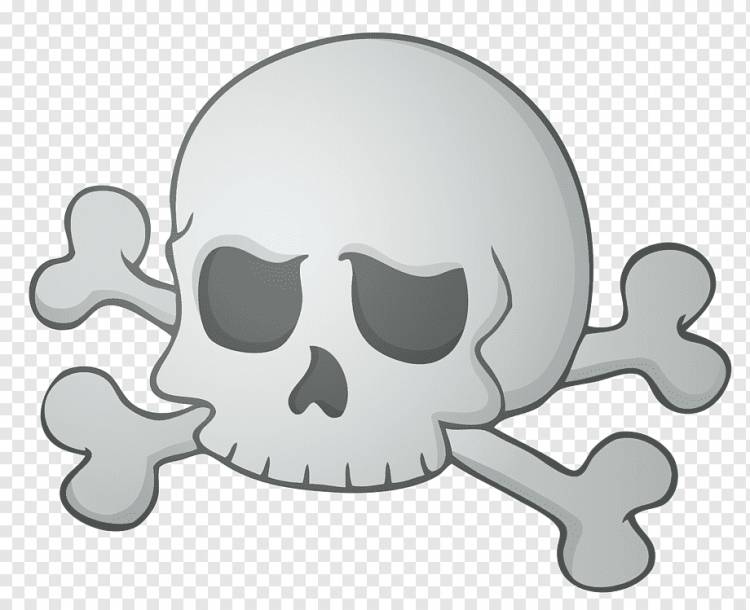 Calavera Skull Хэллоуин, череп, голова, человеческий символ черепа, calavera png