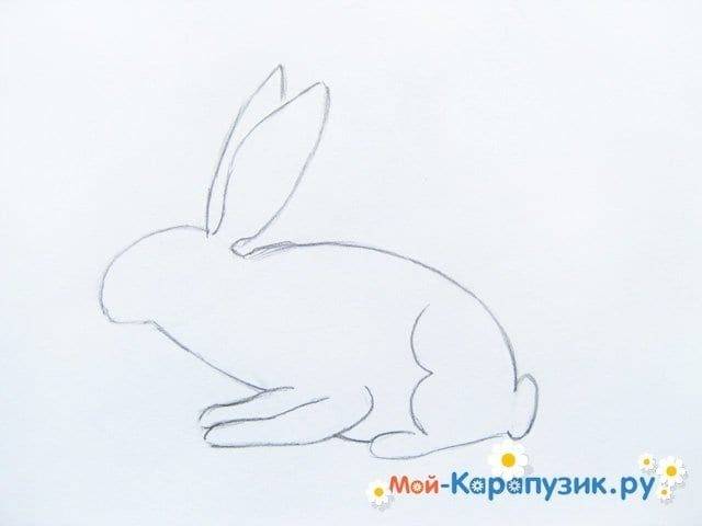 Как нарисовать зайца цветными карандашами