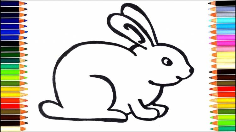Как нарисовать кролика поэтапно карандашом 