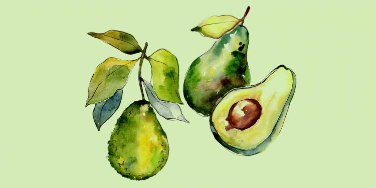 Как нарисовать авокадо