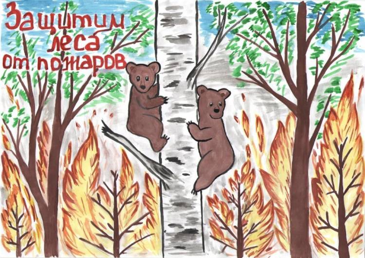 Дети нарисовали, как защитить лес от пожара
