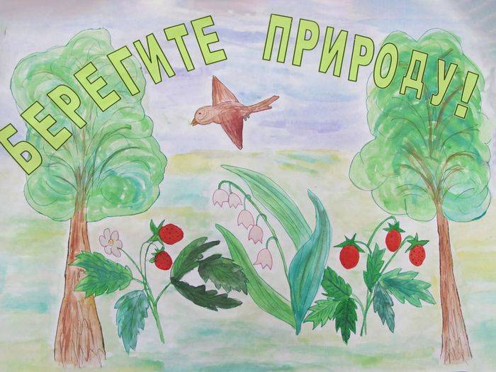Плакат Берегите растения! для учеников