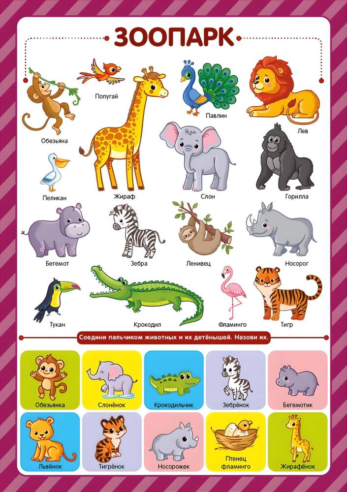 Обучающие плакаты для детей Животные зоопарка размер