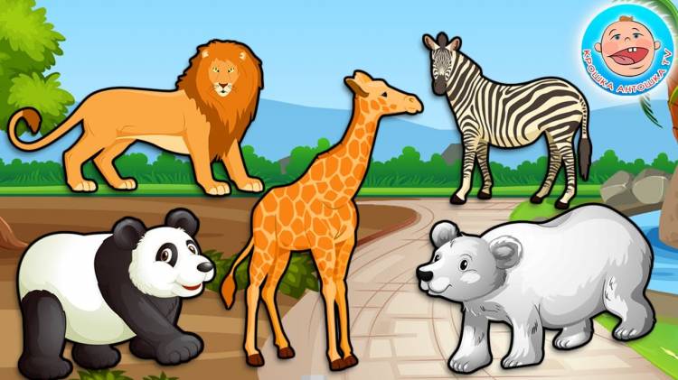 Животные зоопарка картинки для детей