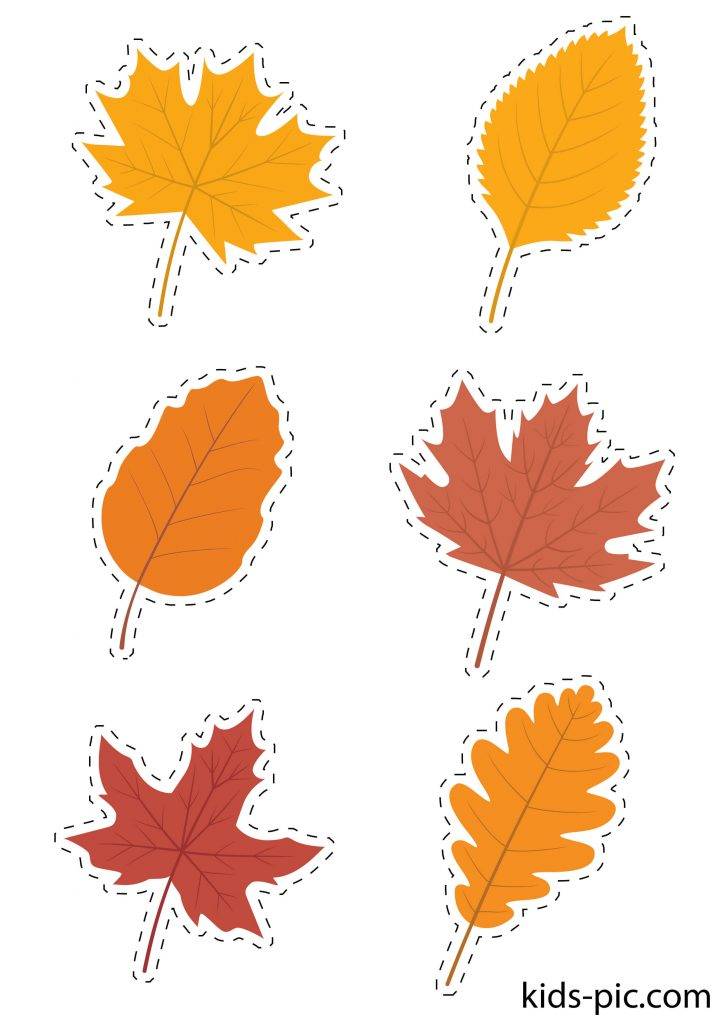 Шаблоны Осенних Листьев Для Вырезания