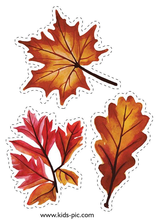 Шаблоны Осенних Листьев Для Вырезания
