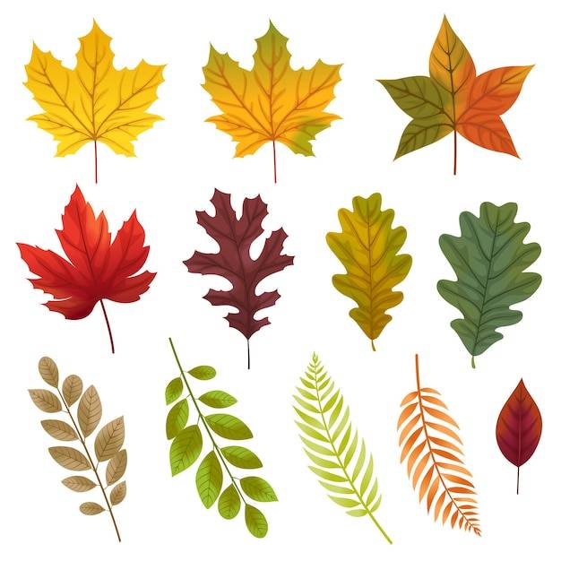 Осенние листья Изображения